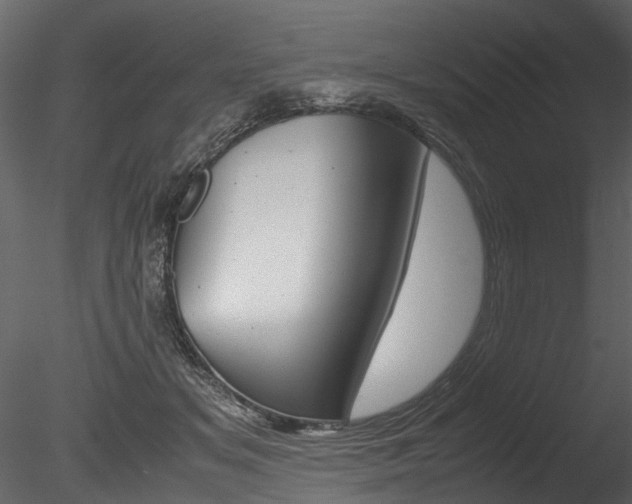 X0000085780509200703161003