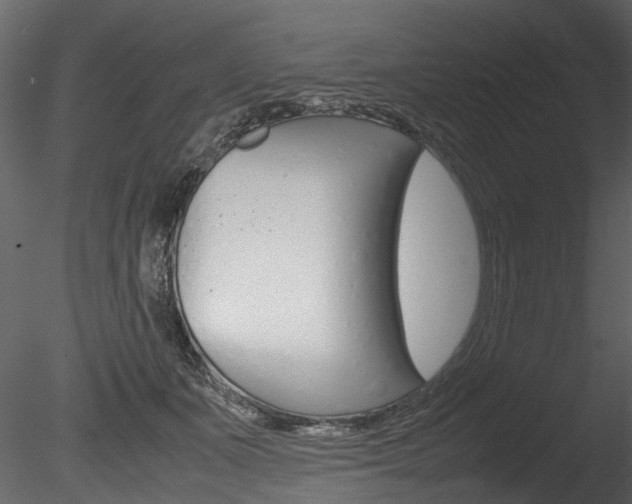 X0000085780511200703161003