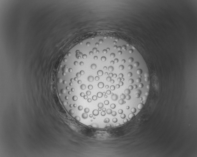 X0000085780519200703161003