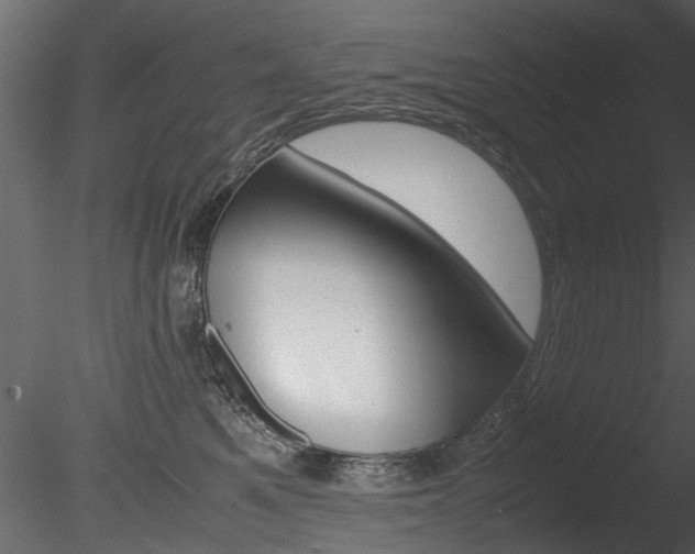 X0000085780521200703161003