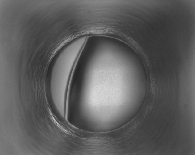 X0000085780530200703161002