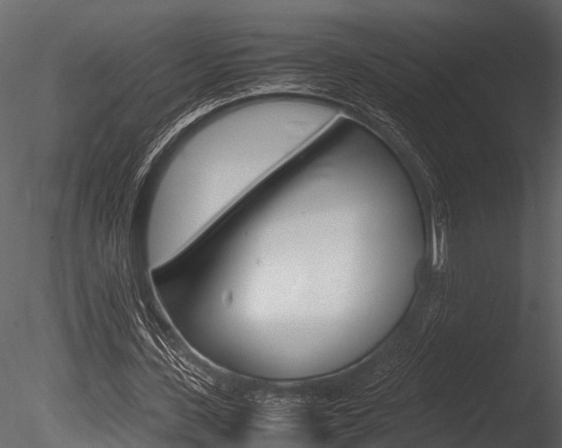 X0000085780531200703161002