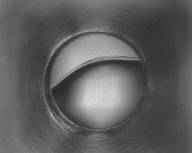 X0000085780536200703161002