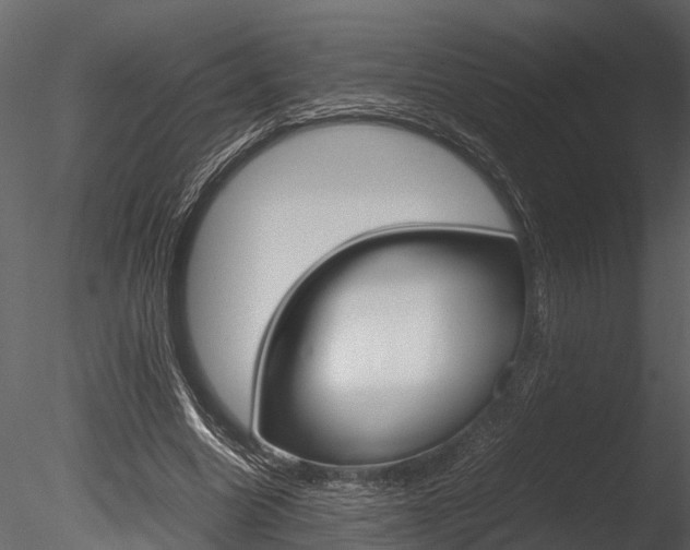 X0000085780538200703161002