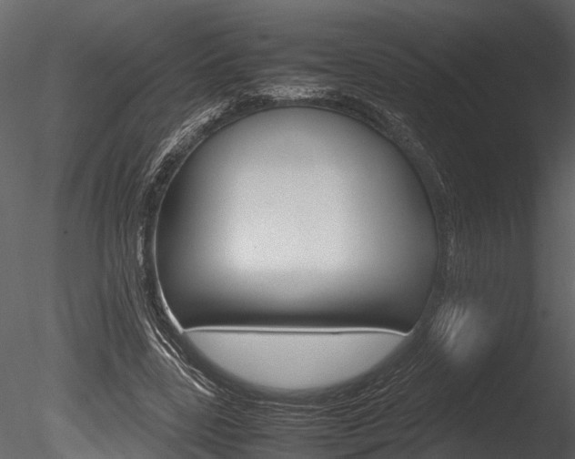 X0000085780539200703161002