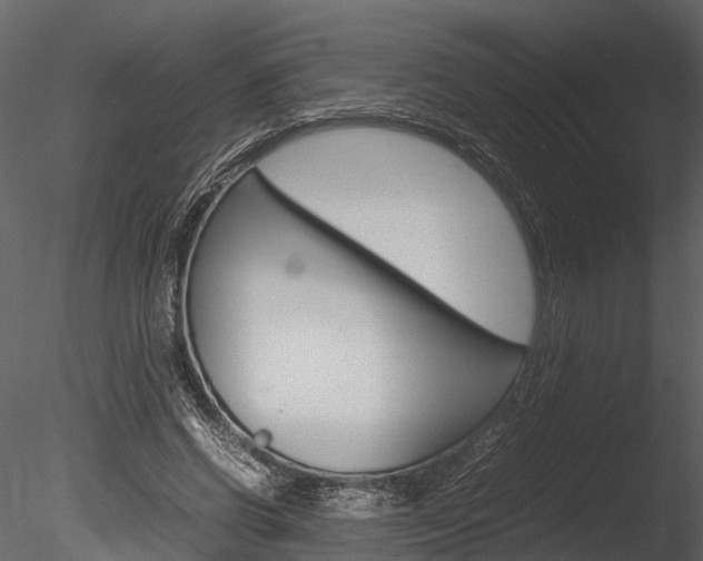 X0000085780542200703161002