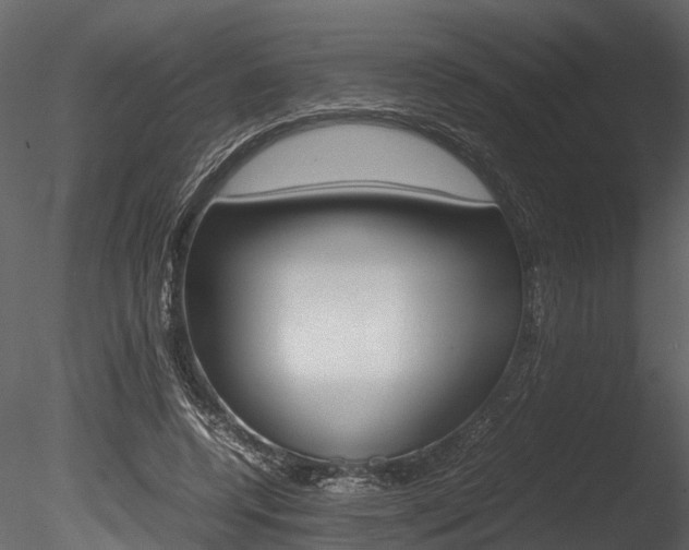X0000085780544200703161002