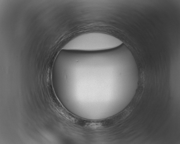 X0000085780554200703161002