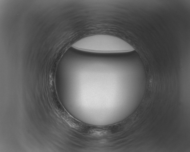 X0000085780555200703161002