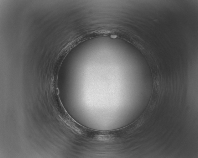 X0000085780556200703161002