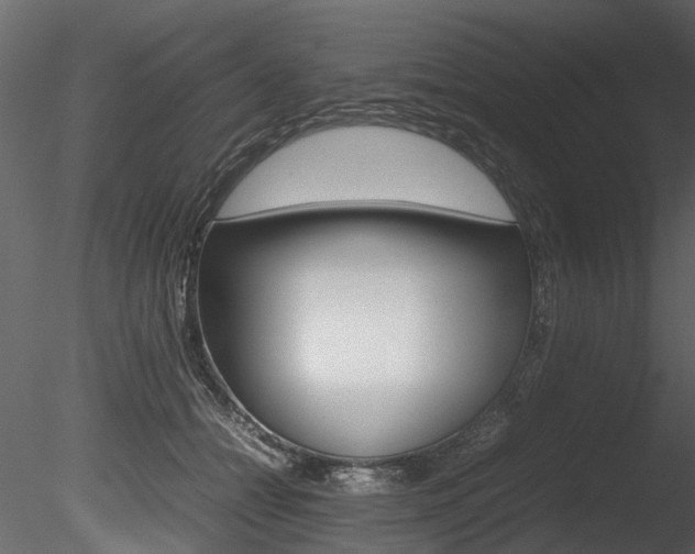 X0000085780558200703161002