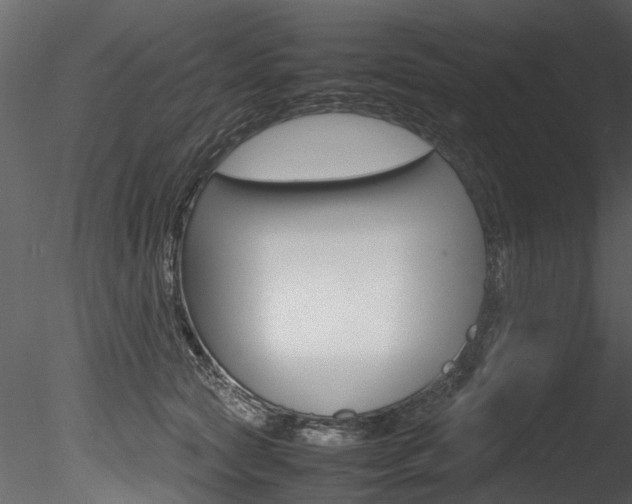 X0000085780561200703161002