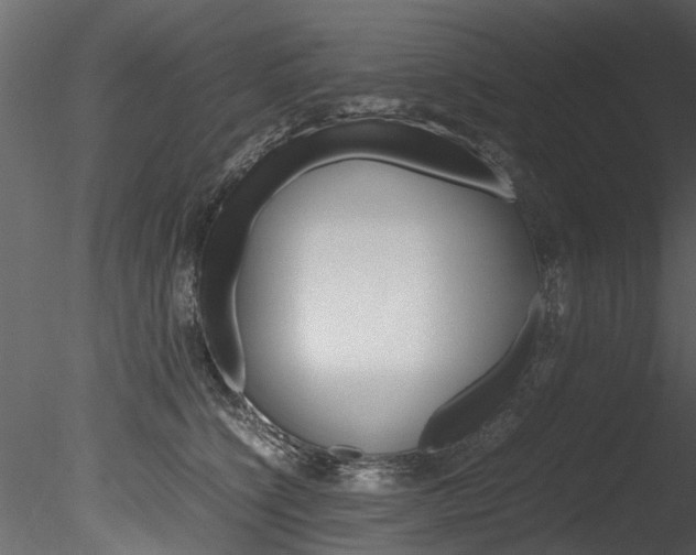 X0000085780564200703161002