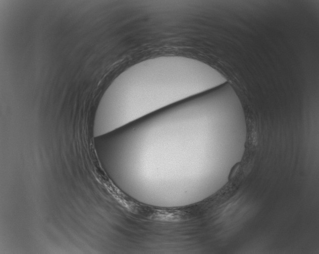 X0000085780569200703161003