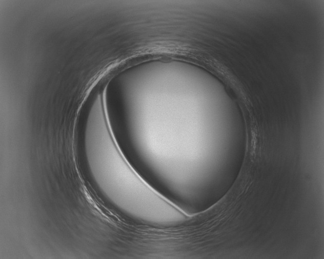 X0000085780580200703161002