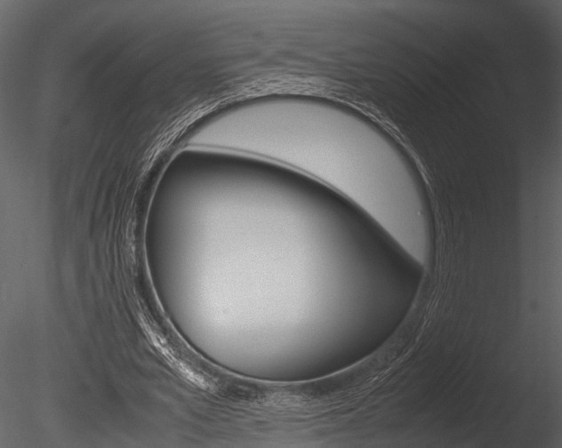 X0000085780581200703161002