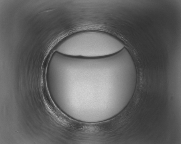 X0000085780582200703161002