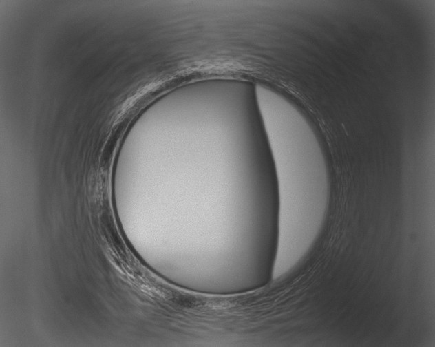 X0000085780583200703161002