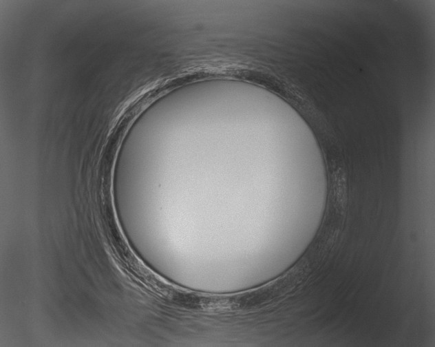 X0000085780587200703161002