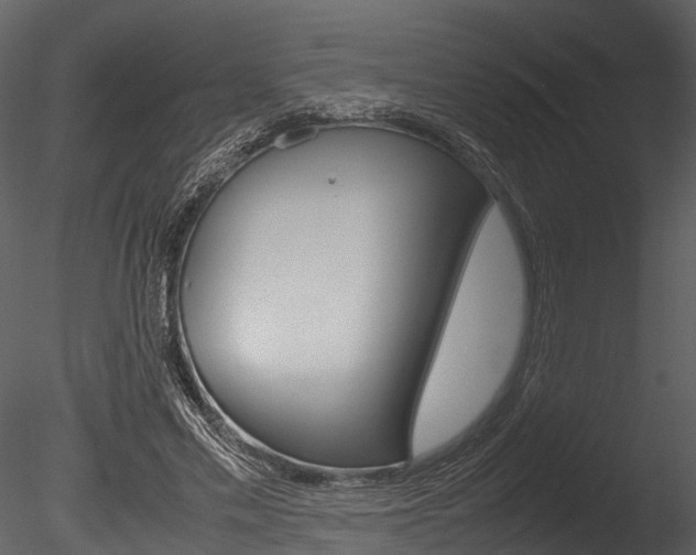 X0000085780589200703161002