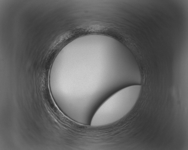 X0000085780591200703161002