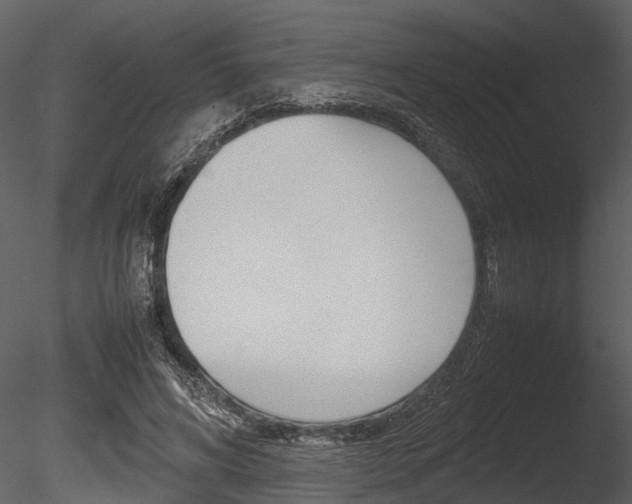 X0000085780592200703161002