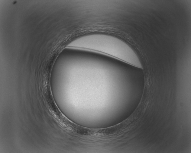 X0000085780593200703161001