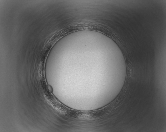 X0000085780594200703161001