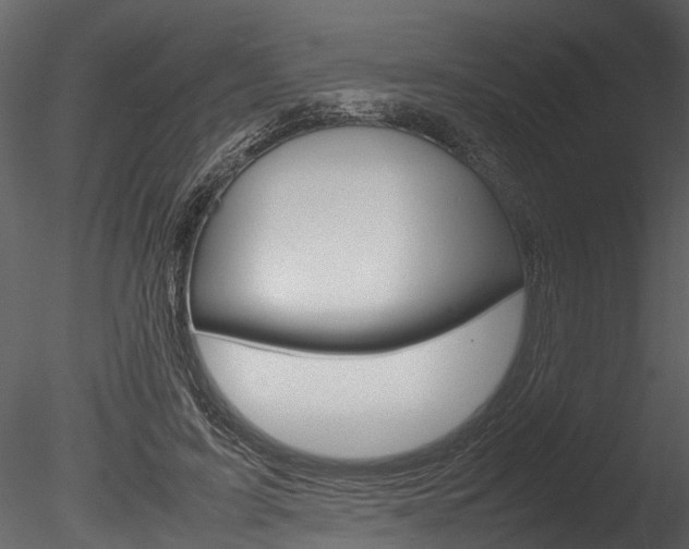 X0000085780595200703161001