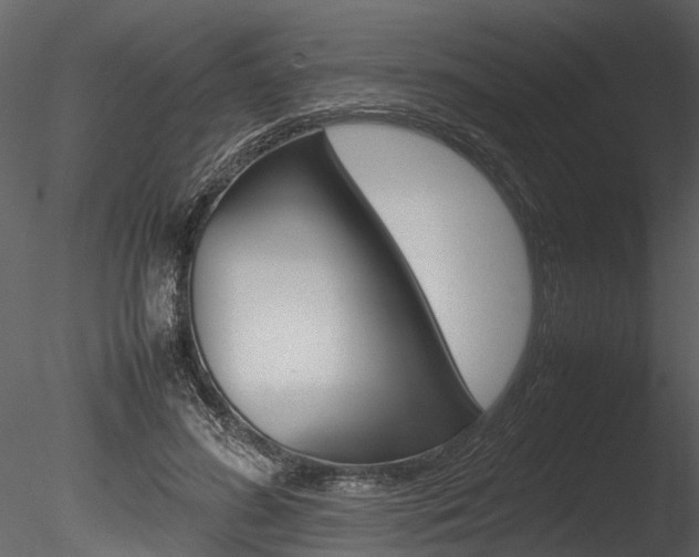 X0000085780596200703161001
