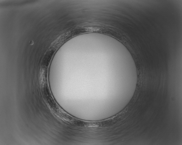 X0000085780598200703161001
