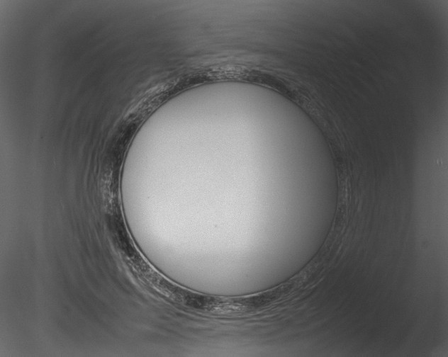 X0000085780599200703161001