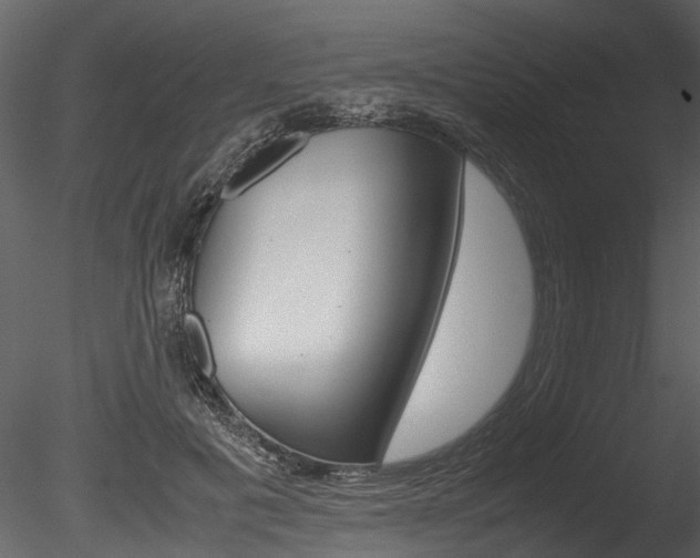 X0000085780601200703161001