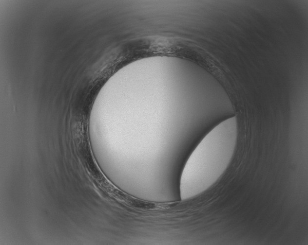 X0000085780603200703161001