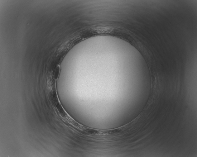 X0000085780604200703161001