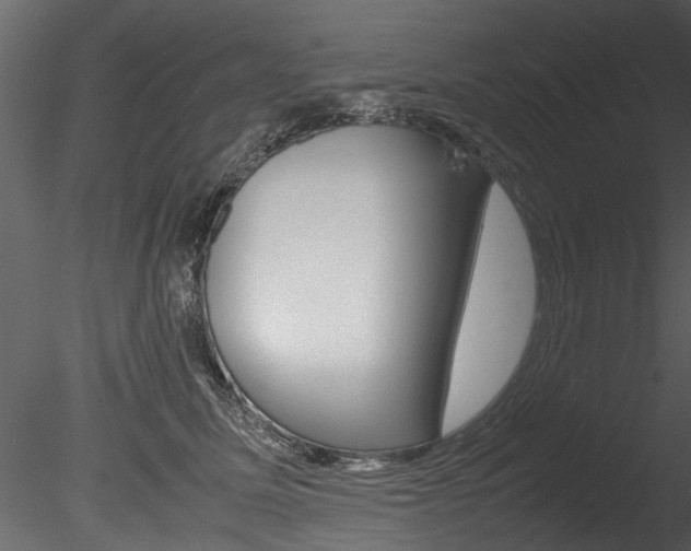 X0000085780611200703161001