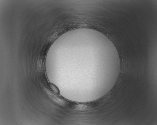 X0000085780614200703161001