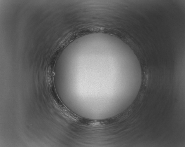 X0000085780616200703161001