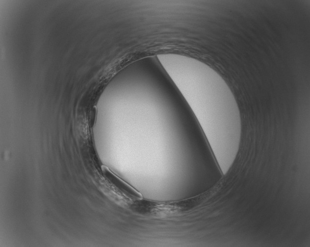 X0000085780617200703161001