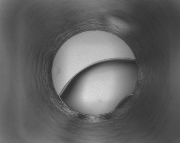 X0000085780623200703161001