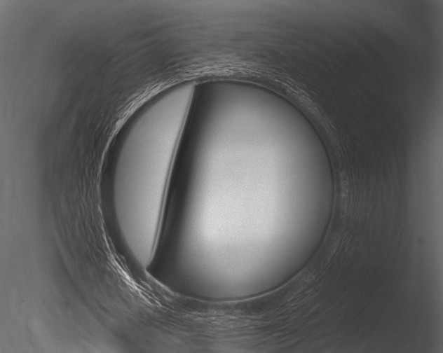 X0000085780626200703161000