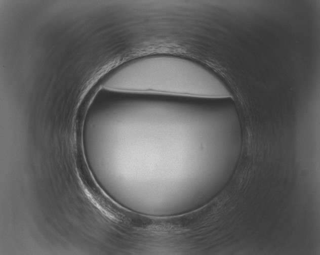 X0000085780630200703161000