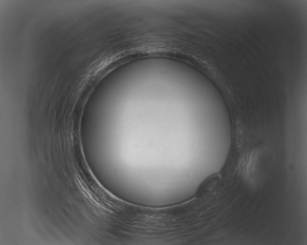X0000085780631200703161000