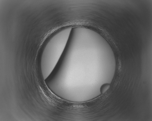 X0000085780636200703161000