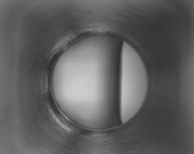 X0000085780638200703161000
