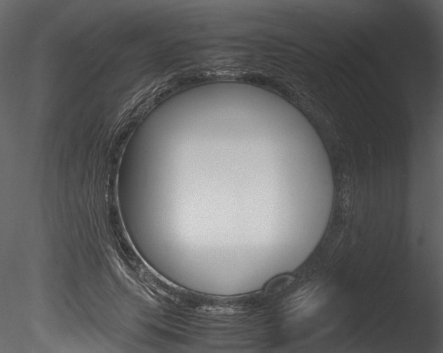 X0000085780639200703161000