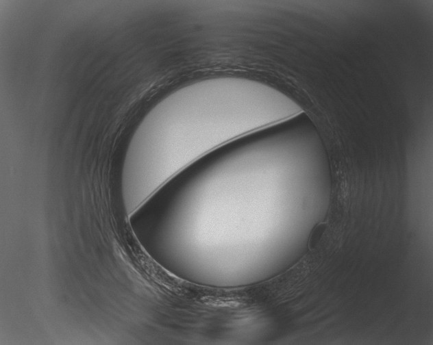 X0000085780643200703161000