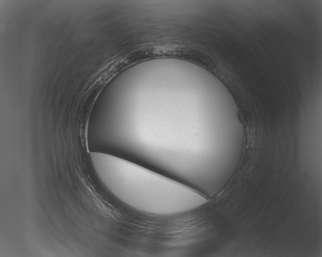 X0000085780648200703161000