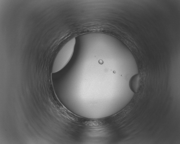 X0000085780652200703161001