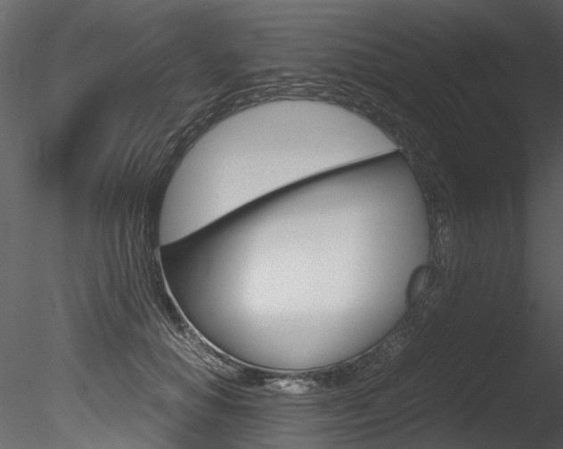 X0000085780654200703161001